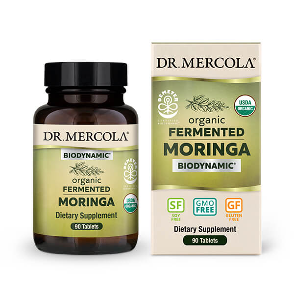 Organic Fermented Moringa